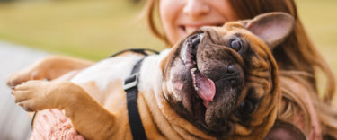 犬を飼うにあたり注意点・心構え