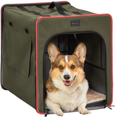 トレーナーが教えるゲージ（クレート）トレーニングの失敗の仕方